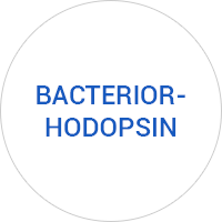 Bacterior-hodopsin